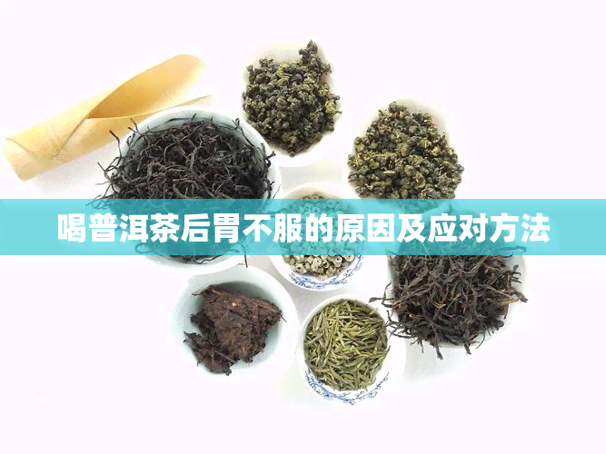 喝普洱茶后胃不服的原因及应对方法