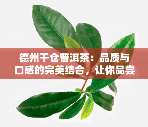 德州干仓普洱茶：品质与口感的完美结合，让你品尝到真正好喝的普洱茶