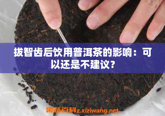 拔智齿后饮用普洱茶的影响：可以还是不建议？