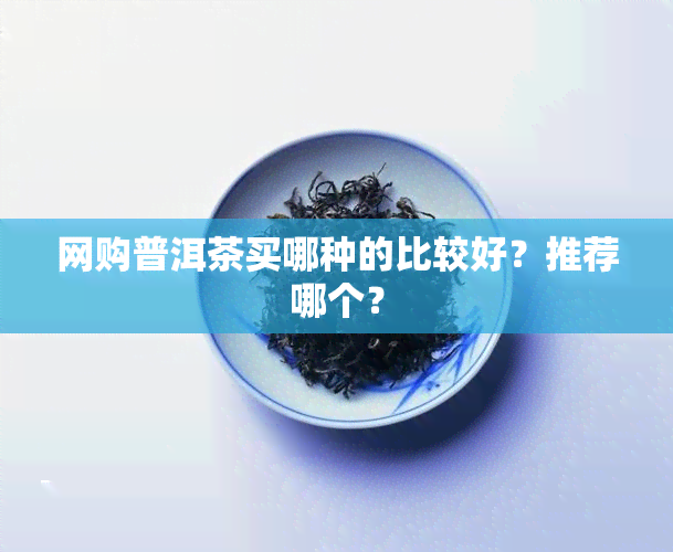 网购普洱茶买哪种的比较好？推荐哪个？