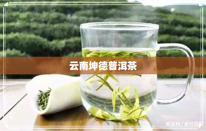 云南坤德普洱茶