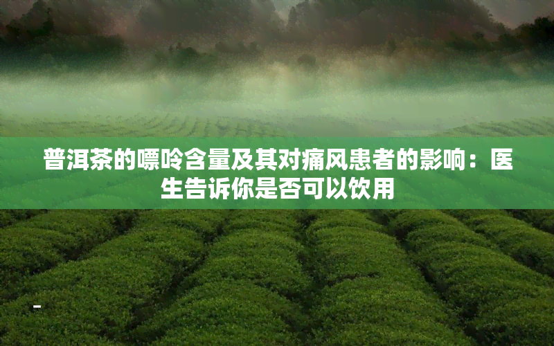 普洱茶的嘌呤含量及其对痛风患者的影响：医生告诉你是否可以饮用