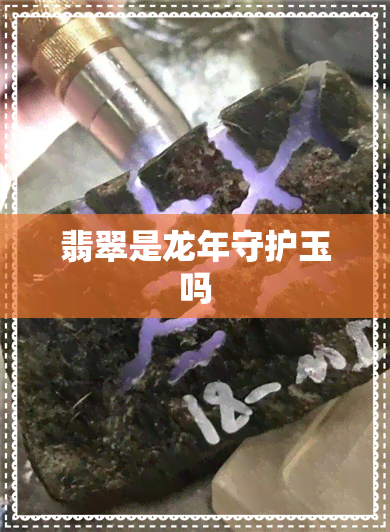 翡翠是龙年守护玉吗