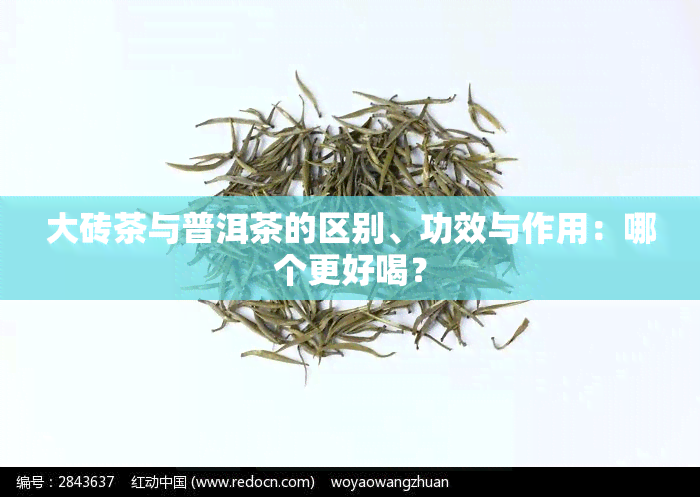 大砖茶与普洱茶的区别、功效与作用：哪个更好喝？