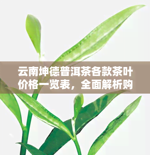 云南坤德普洱茶各款茶叶价格一览表，全面解析购买指南与口感评价