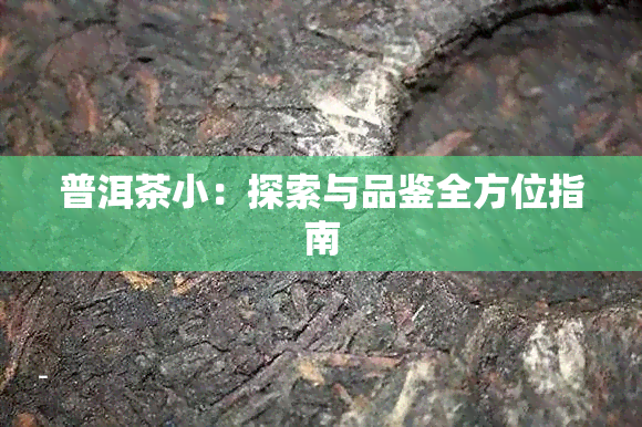 普洱茶小：探索与品鉴全方位指南