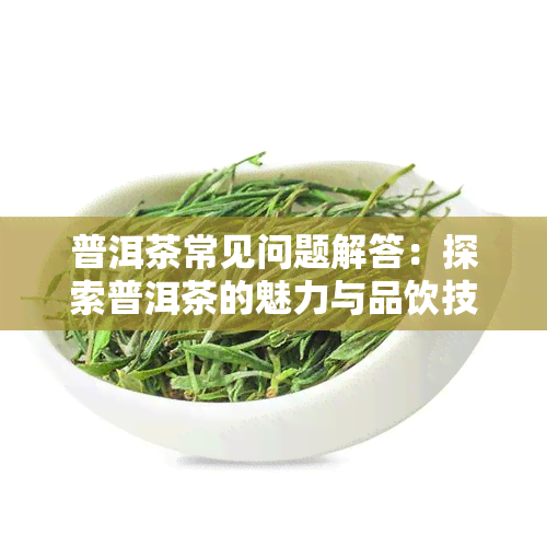 普洱茶常见问题解答：探索普洱茶的魅力与品饮技巧