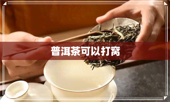 普洱茶可以打窝