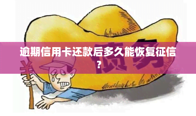 逾期信用卡还款后多久能恢复？