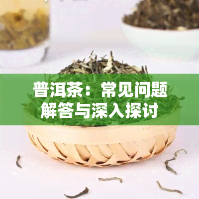 普洱茶：常见问题解答与深入探讨