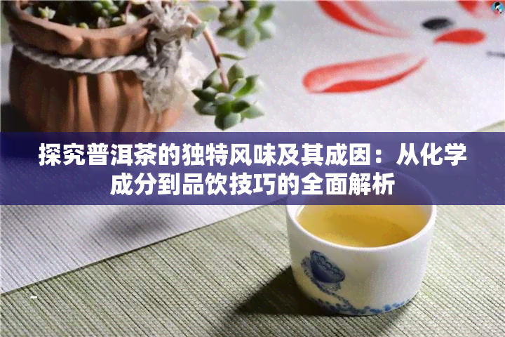 探究普洱茶的独特风味及其成因：从化学成分到品饮技巧的全面解析