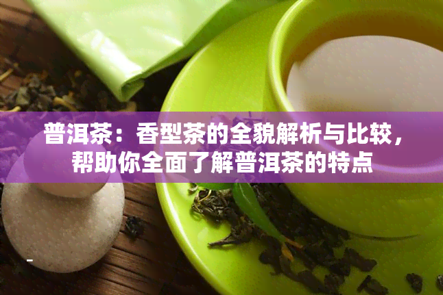 普洱茶：香型茶的全貌解析与比较，帮助你全面了解普洱茶的特点