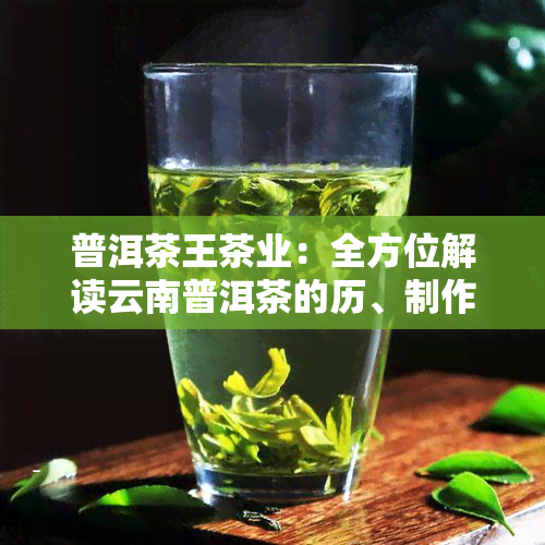 普洱茶王茶业：全方位解读云南普洱茶的历、制作工艺、品鉴方法与购买建议