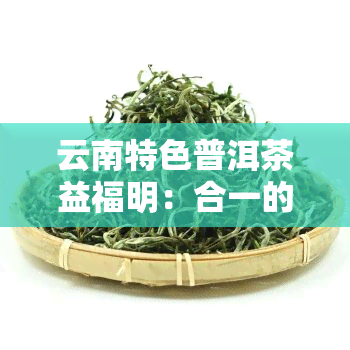 云南特色普洱茶益福明：合一的品鉴之道与茶叶批发推荐