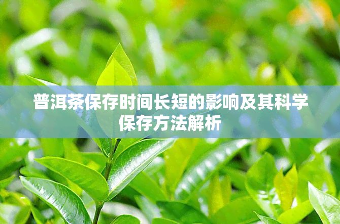 普洱茶保存时间长短的影响及其科学保存方法解析