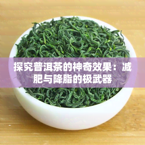 探究普洱茶的神奇效果：减肥与降脂的极武器