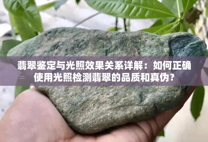 翡翠鉴定与光照效果关系详解：如何正确使用光照检测翡翠的品质和真伪？