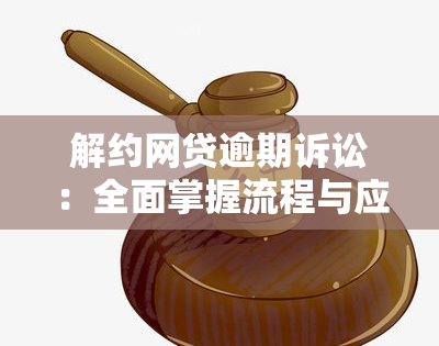 解约网贷逾期诉讼：全面掌握流程与应对策略，确保您的权益不受损失