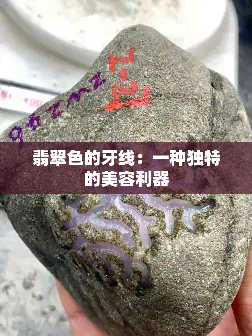 翡翠色的牙线：一种独特的美容利器