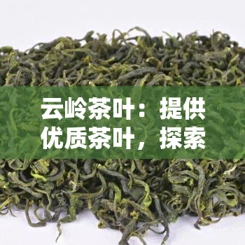 云岭茶叶：提供优质茶叶，探索茶文化，解答购买疑问的专业茶叶公司