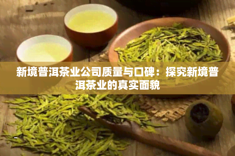 新境普洱茶业公司质量与口碑：探究新境普洱茶业的真实面貌