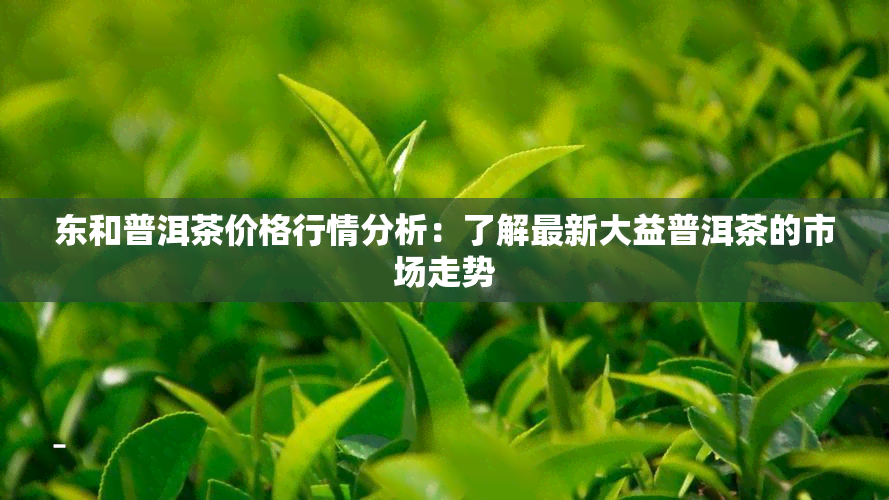 东和普洱茶价格行情分析：了解最新大益普洱茶的市场走势