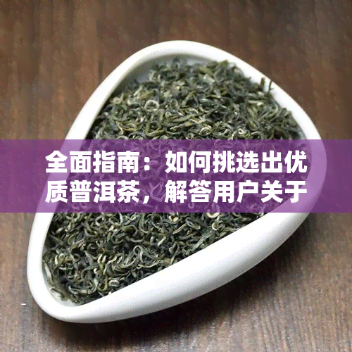 全面指南：如何挑选出优质普洱茶，解答用户关于选茶的所有疑问