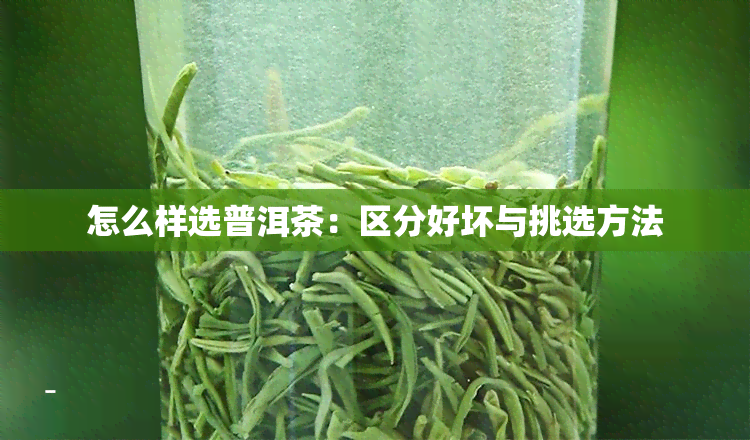 怎么样选普洱茶：区分好坏与挑选方法