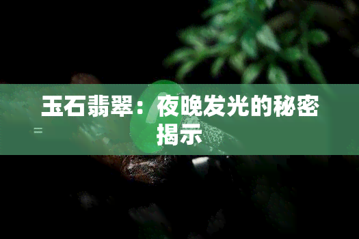 玉石翡翠：夜晚发光的秘密揭示