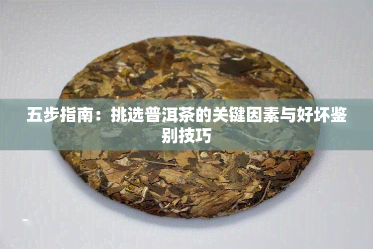 五步指南：挑选普洱茶的关键因素与好坏鉴别技巧