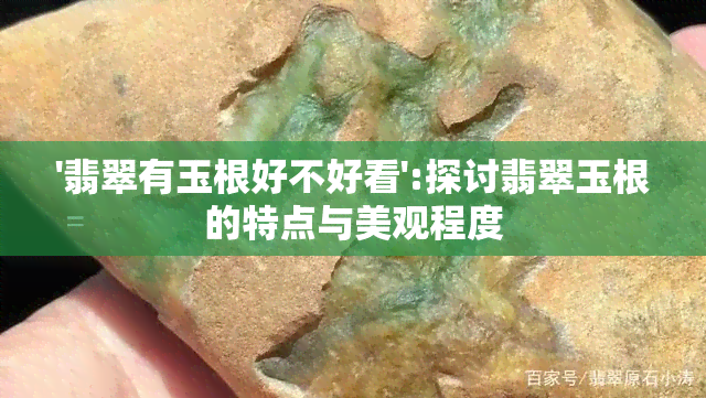 '翡翠有玉根好不好看':探讨翡翠玉根的特点与美观程度