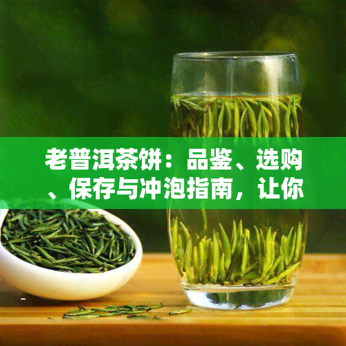 老普洱茶饼：品鉴、选购、保存与冲泡指南，让你全面了解这款古老饮品的魅力