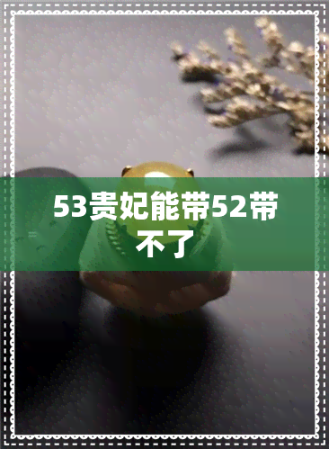 53贵妃能带52带不了