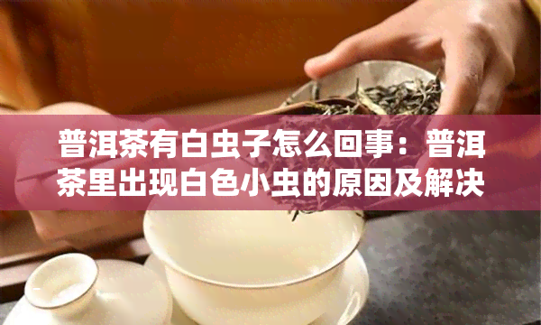 普洱茶有白虫子怎么回事：普洱茶里出现白色小虫的原因及解决方法