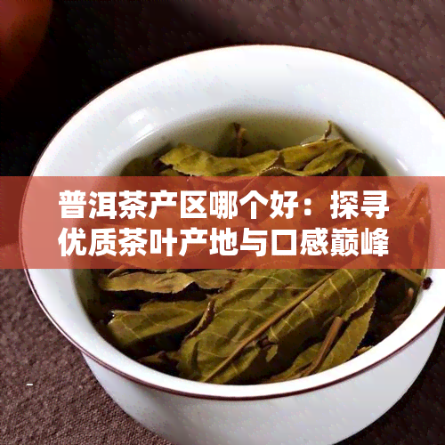 普洱茶产区哪个好：探寻优质茶叶产地与口感巅峰