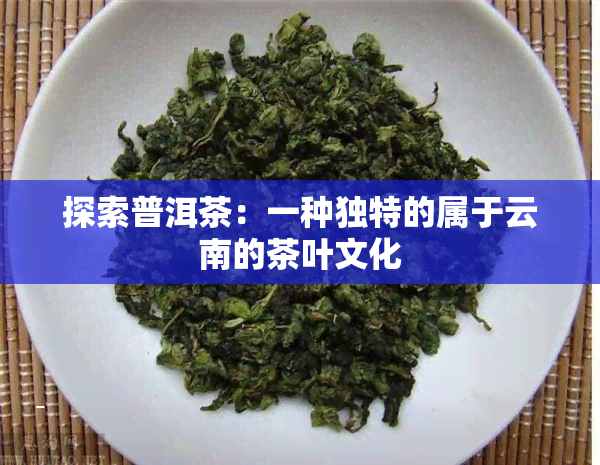 探索普洱茶：一种独特的属于云南的茶叶文化