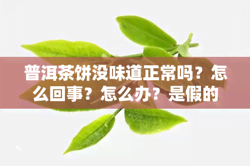 普洱茶饼没味道正常吗？怎么回事？怎么办？是假的吗？