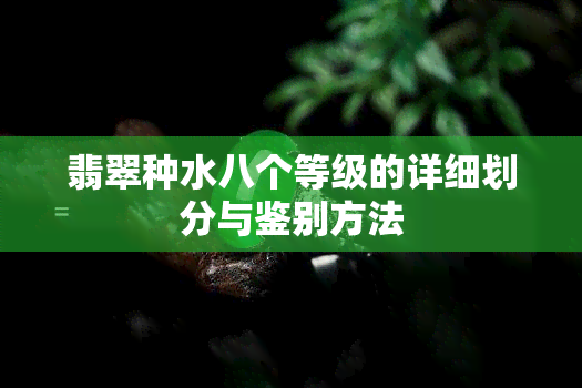 翡翠种水八个等级的详细划分与鉴别方法