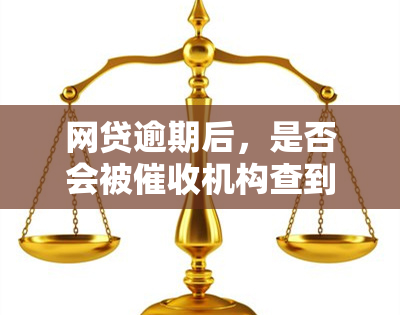 网贷逾期后，是否会被机构查到领取结婚证的信息？