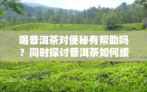 喝普洱茶对便秘有帮助吗？同时探讨普洱茶如何缓解便秘问题及预防措