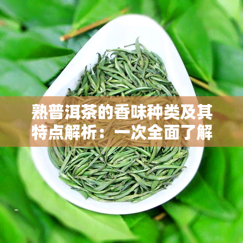 熟普洱茶的香味种类及其特点解析：一次全面了解