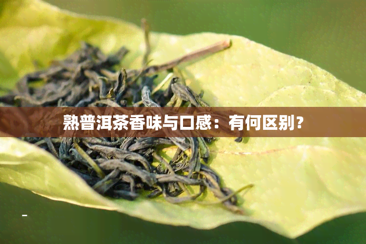 熟普洱茶香味与口感：有何区别？