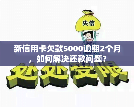 新信用卡欠款5000逾期2个月，如何解决还款问题？