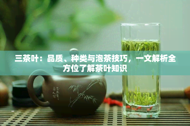 三茶叶：品质、种类与泡茶技巧，一文解析全方位了解茶叶知识