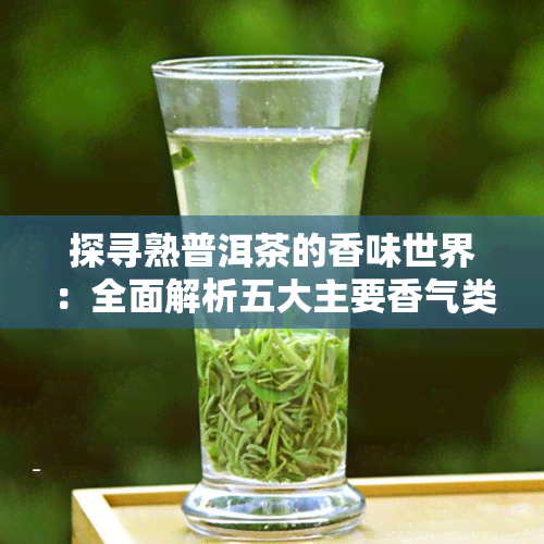 探寻熟普洱茶的香味世界：全面解析五大主要香气类别