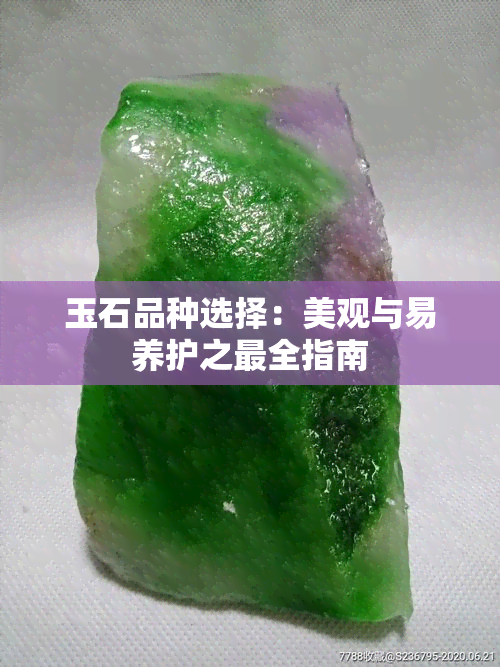 玉石品种选择：美观与易养护之最全指南