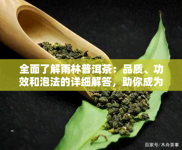 全面了解雨林普洱茶：品质、功效和泡法的详细解答，助你成为茶叶专家