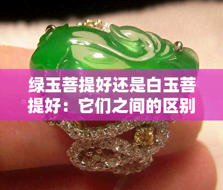 绿玉菩提好还是白玉菩提好：它们之间的区别与选择