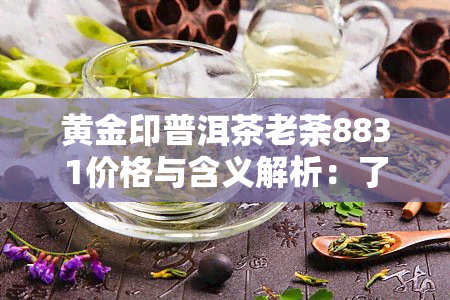 黄金印普洱茶老荼8831价格与含义解析：了解普洱茶金印的意义