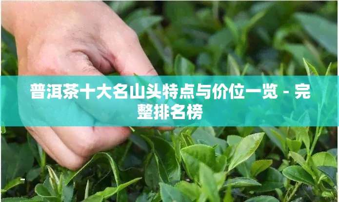 普洱茶十大名山头特点与价位一览 - 完整排名榜